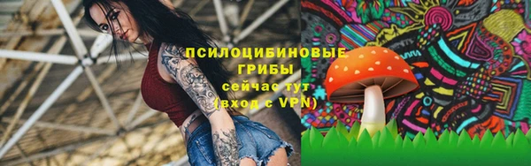 ГАЛЛЮЦИНОГЕННЫЕ ГРИБЫ Верхнеуральск